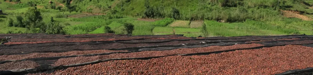 kahvekit-kahve-yikama-istasyonu-44